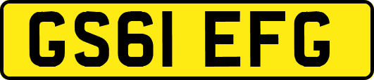 GS61EFG