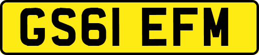 GS61EFM