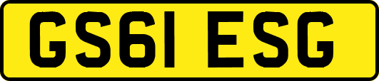 GS61ESG