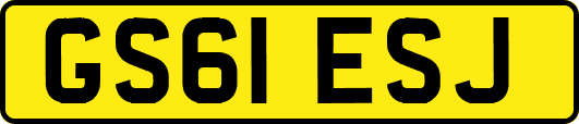 GS61ESJ