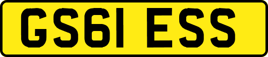 GS61ESS