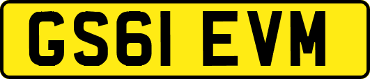 GS61EVM