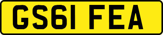 GS61FEA