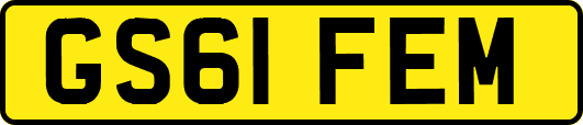 GS61FEM