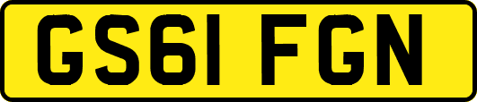 GS61FGN