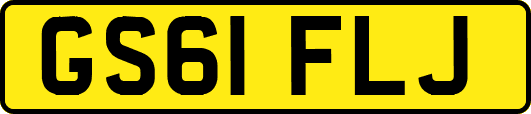 GS61FLJ