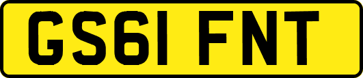 GS61FNT