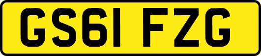 GS61FZG