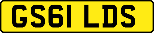 GS61LDS