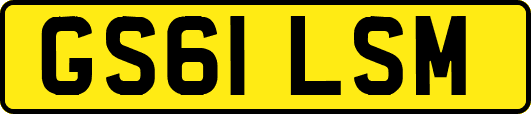 GS61LSM