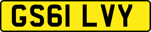 GS61LVY