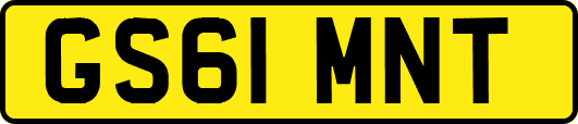 GS61MNT