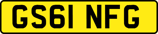 GS61NFG