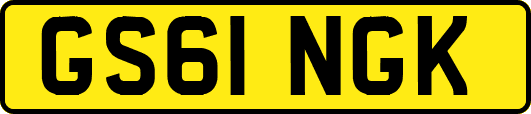 GS61NGK