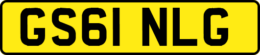 GS61NLG