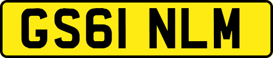 GS61NLM