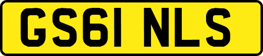 GS61NLS