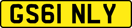 GS61NLY