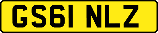GS61NLZ