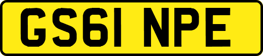 GS61NPE
