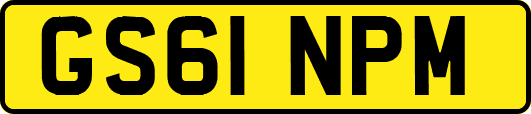 GS61NPM