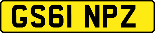 GS61NPZ
