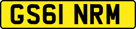 GS61NRM