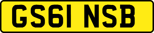 GS61NSB