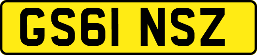GS61NSZ