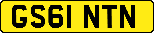 GS61NTN