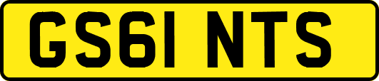 GS61NTS