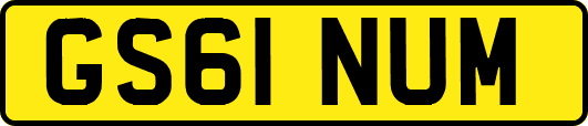 GS61NUM