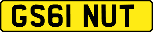 GS61NUT