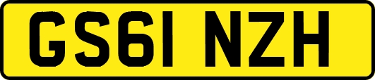 GS61NZH