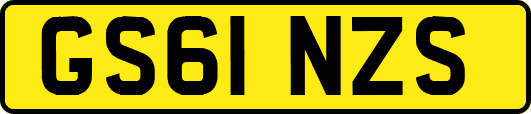 GS61NZS