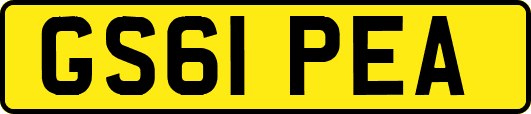 GS61PEA