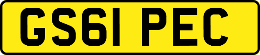 GS61PEC