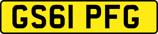 GS61PFG
