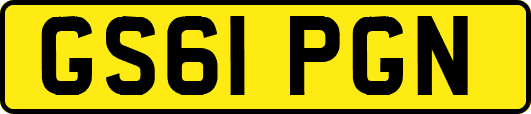 GS61PGN