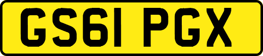 GS61PGX
