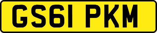 GS61PKM