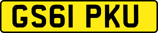 GS61PKU