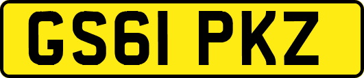 GS61PKZ