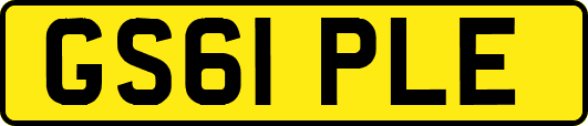 GS61PLE