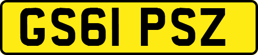 GS61PSZ