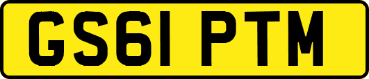 GS61PTM