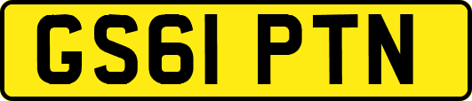 GS61PTN