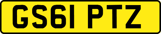 GS61PTZ