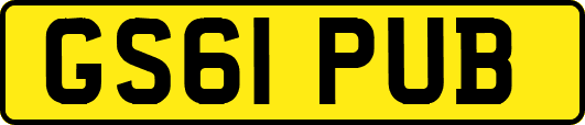 GS61PUB