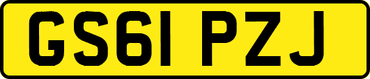 GS61PZJ
